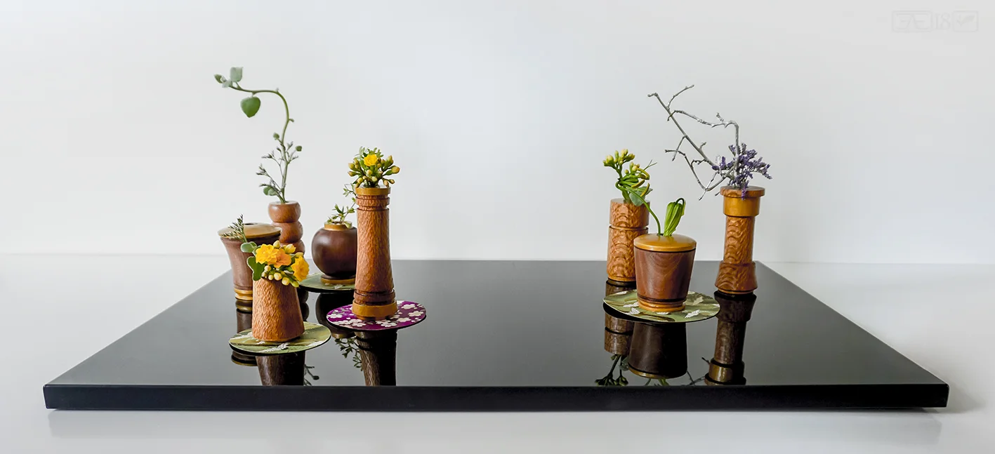 A microcosm of miniatures