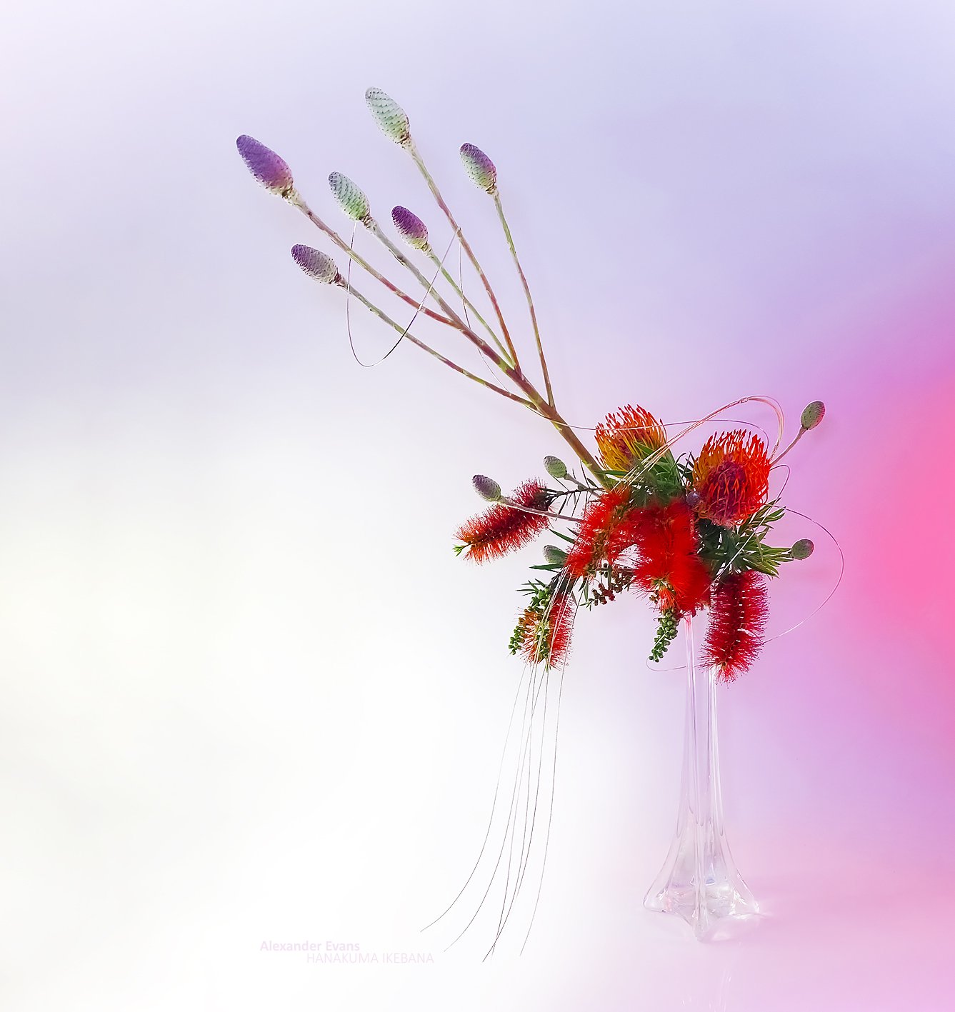 Aussie xmas arrangement with calistemon in glass.jpg