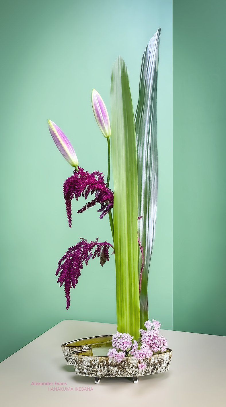 Goulburn Argyle Garden Club - vertical.jpg