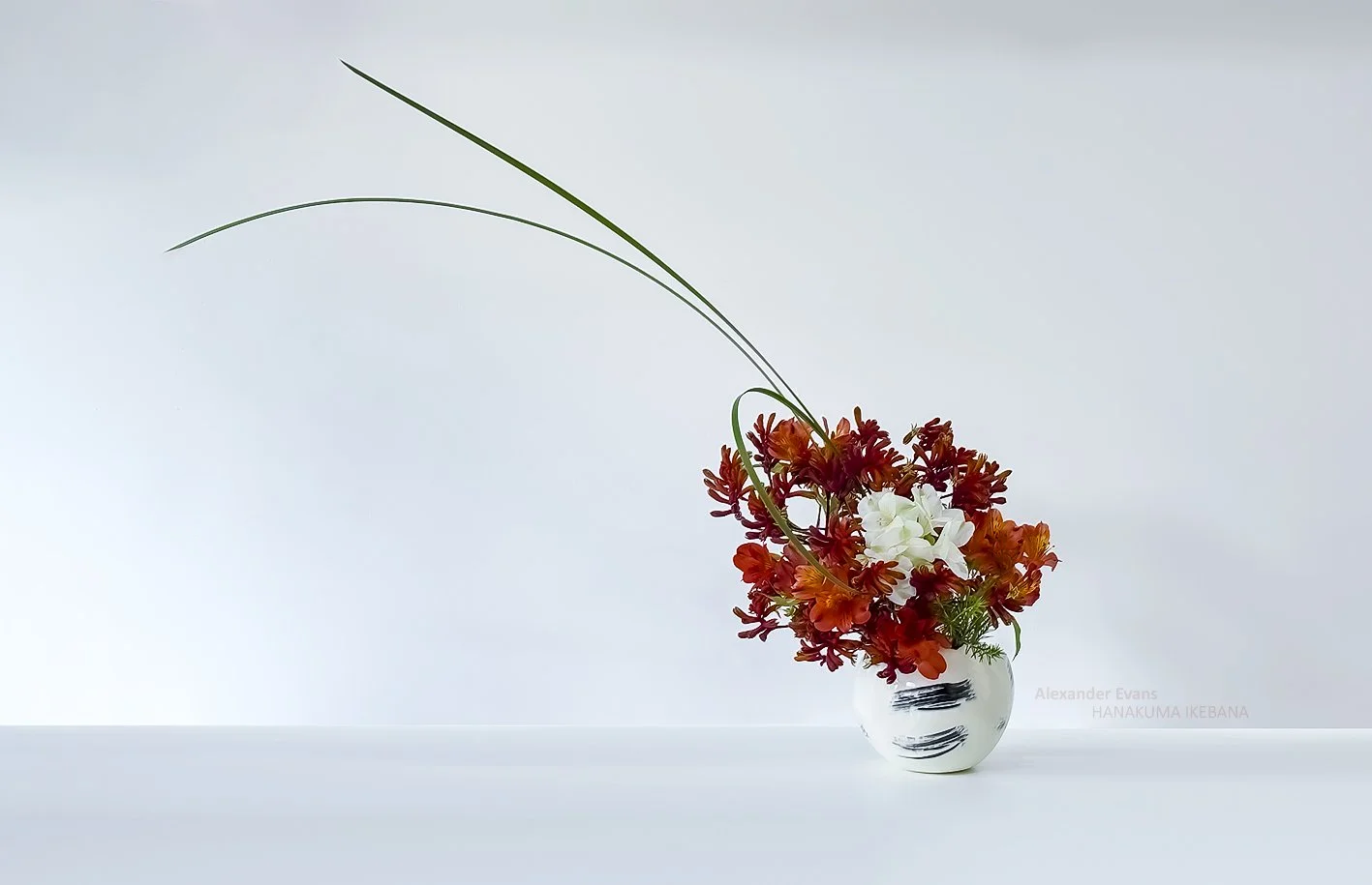 Kangaroo Paw and Alstromeria in ceramic sphere vase.jpg