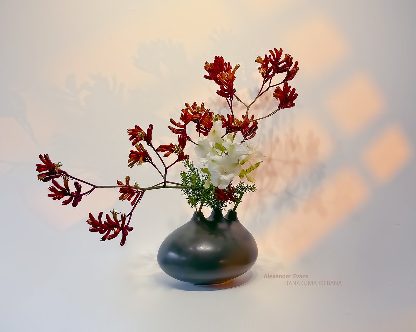 Kangaroo Paw and Alstromeria.jpg