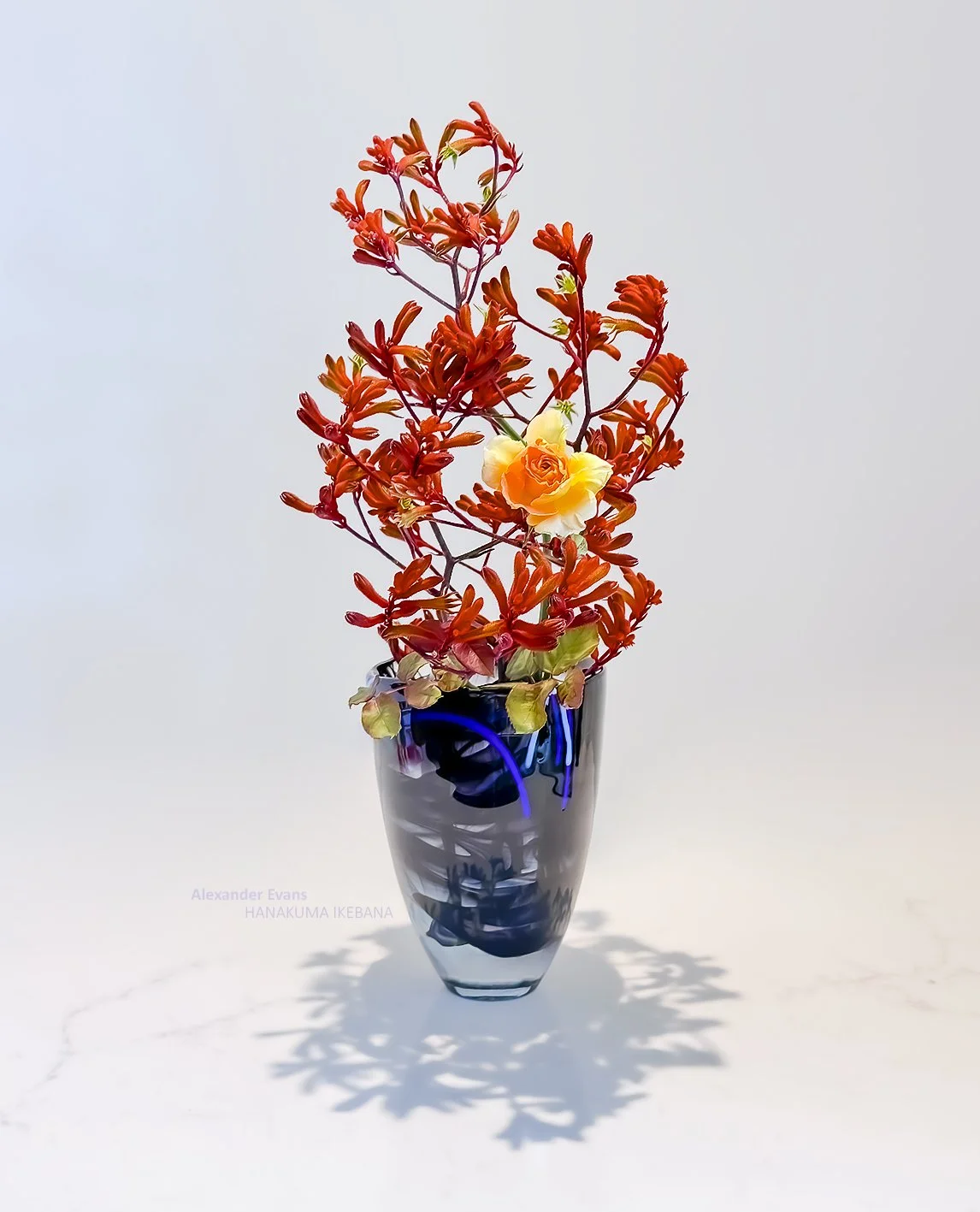 Kangaroo Paw and rose in Kosta Boda Glass - HOT.jpg
