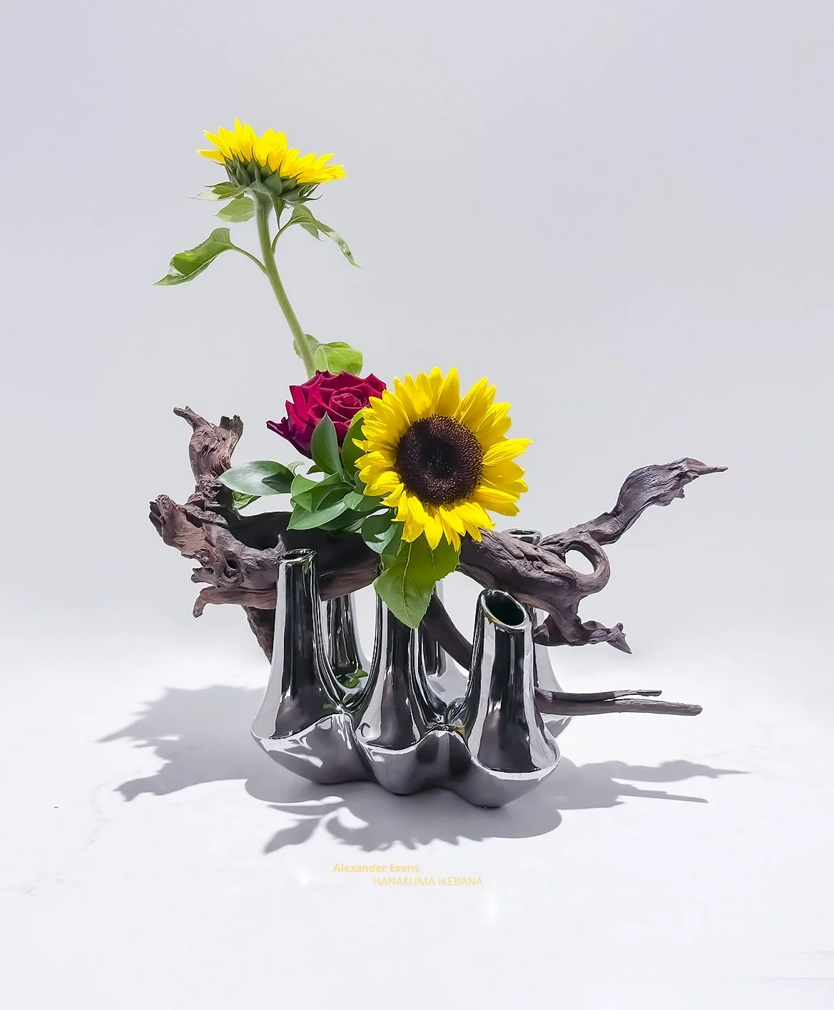 Sunflowers and rose with driftwood.jpg