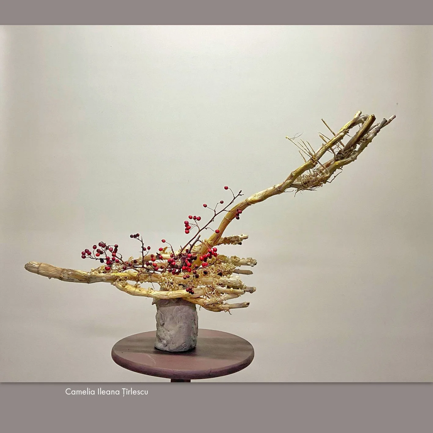 Camelia Ileana Țîrlescu.jpg