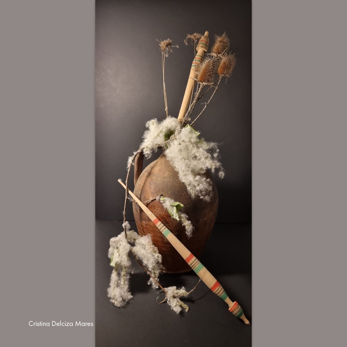 Cristina Delciza Mares 2.jpg