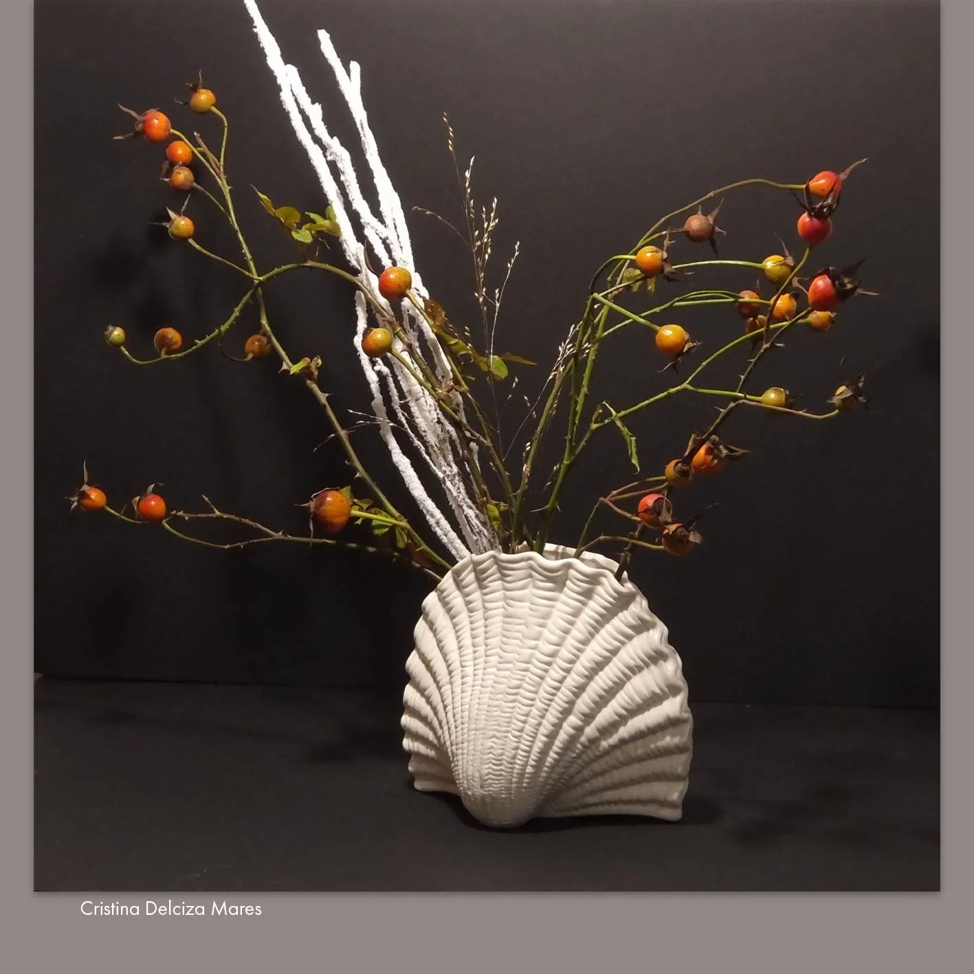 Cristina Delciza Mares 3.jpg