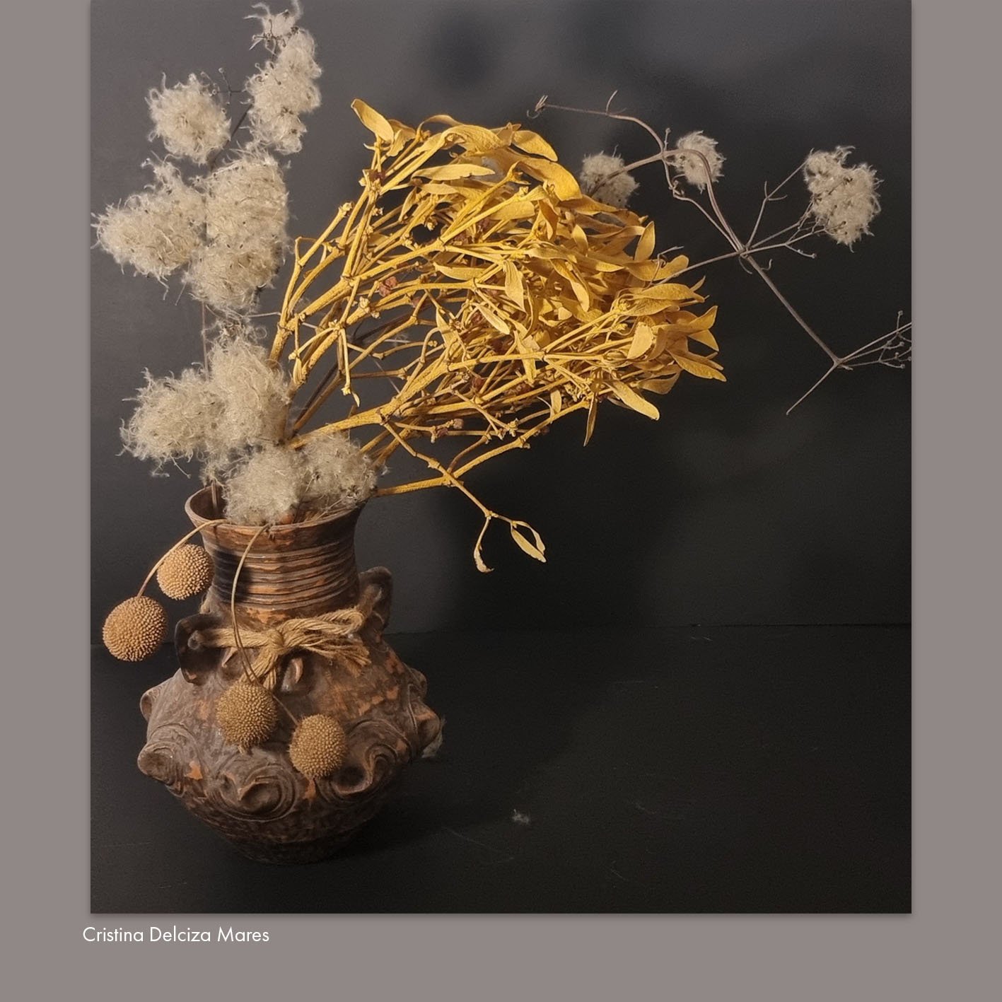 Cristina Delciza Mares.jpg