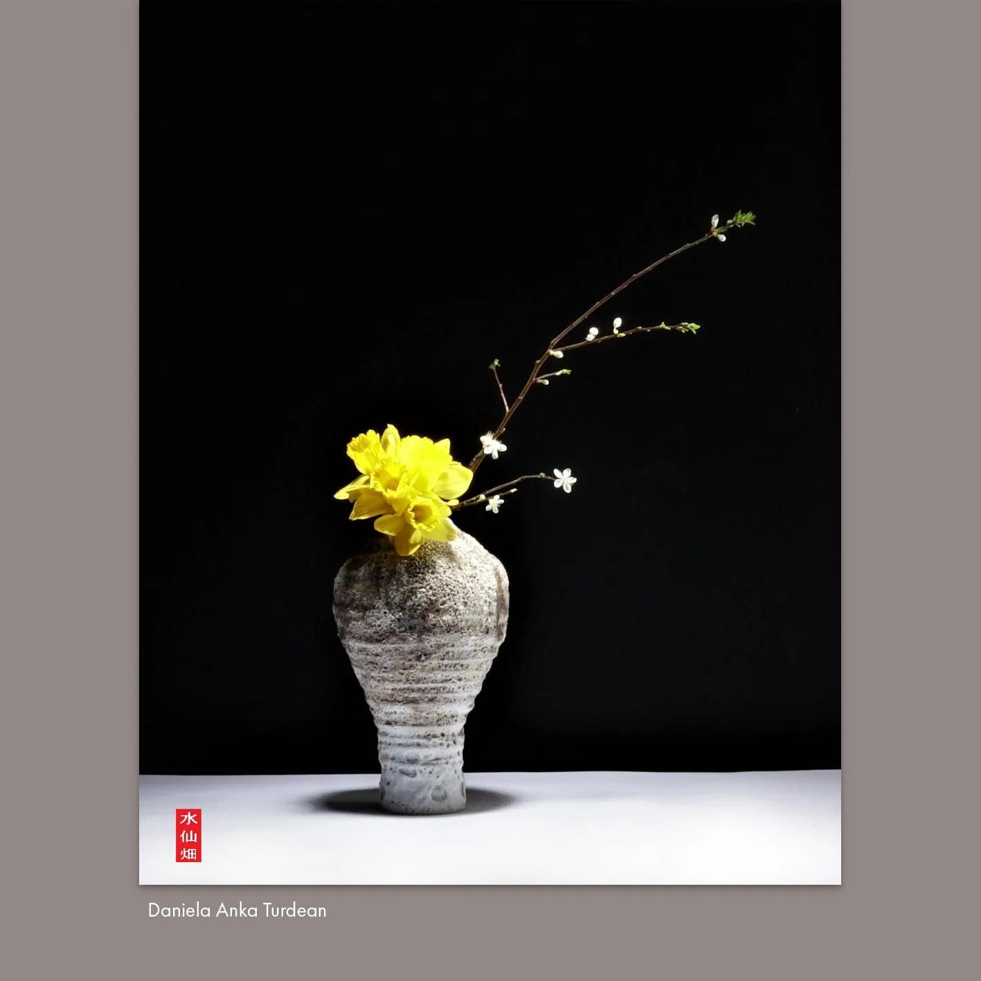 Daniela Anka Turdean 3.jpg