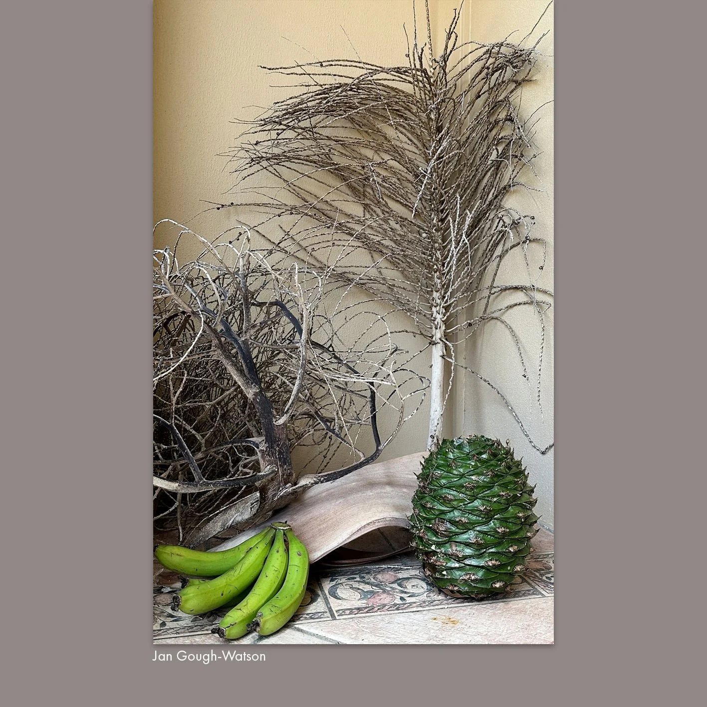 Jan Gough-Watson 2.jpg