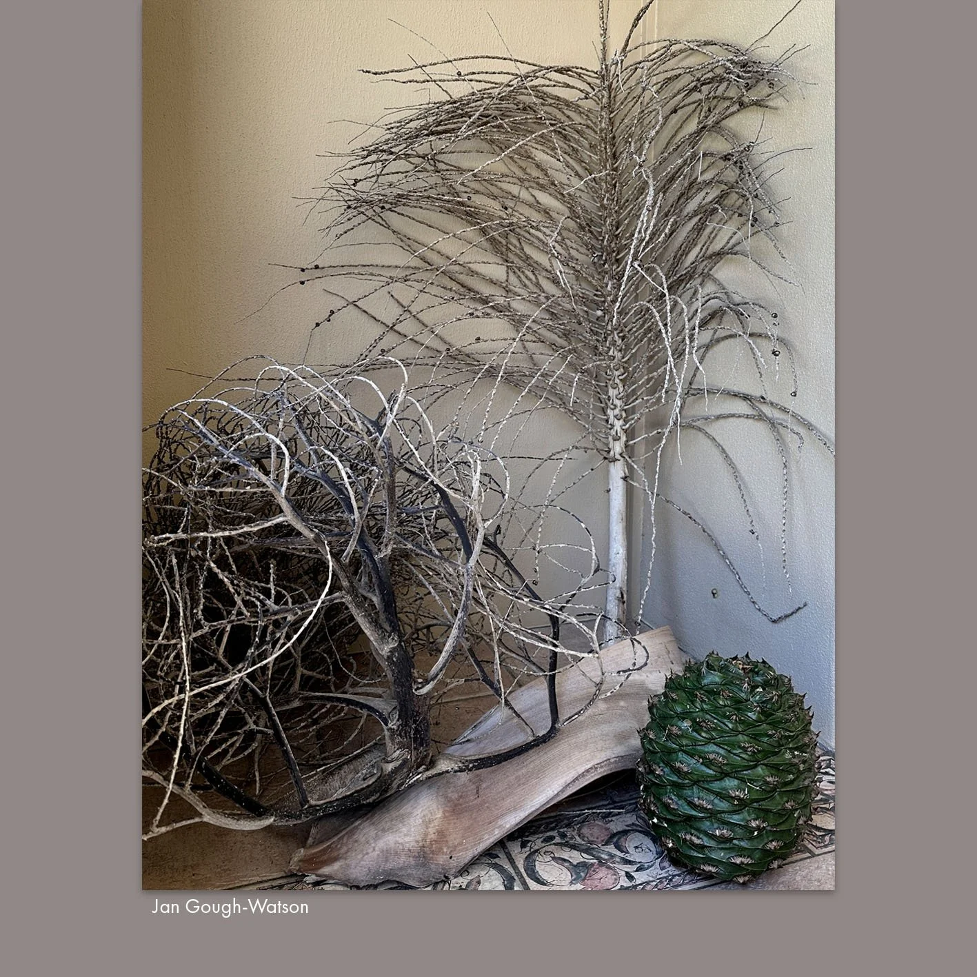 Jan Gough-Watson.jpg