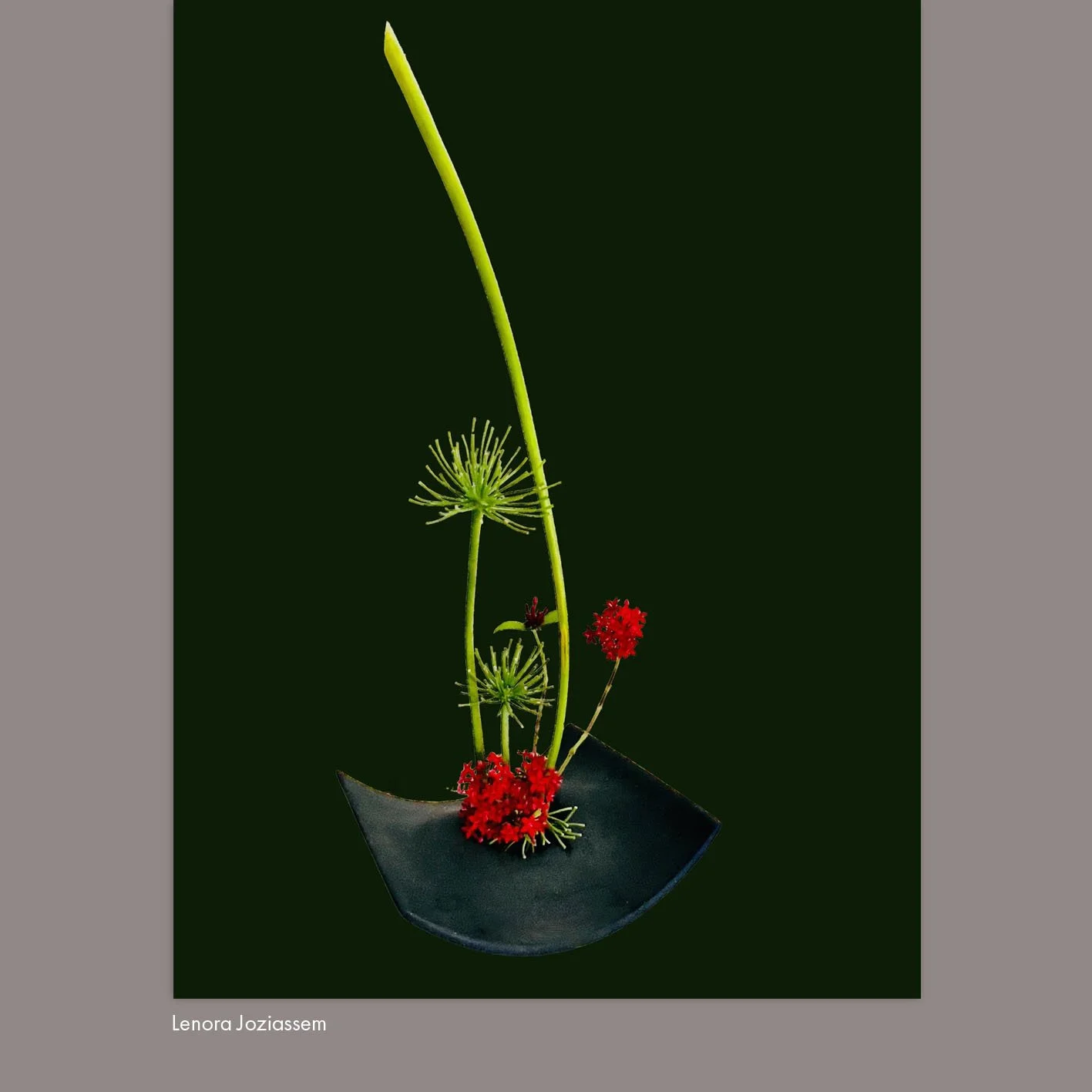 Lenora Joziassem.jpg