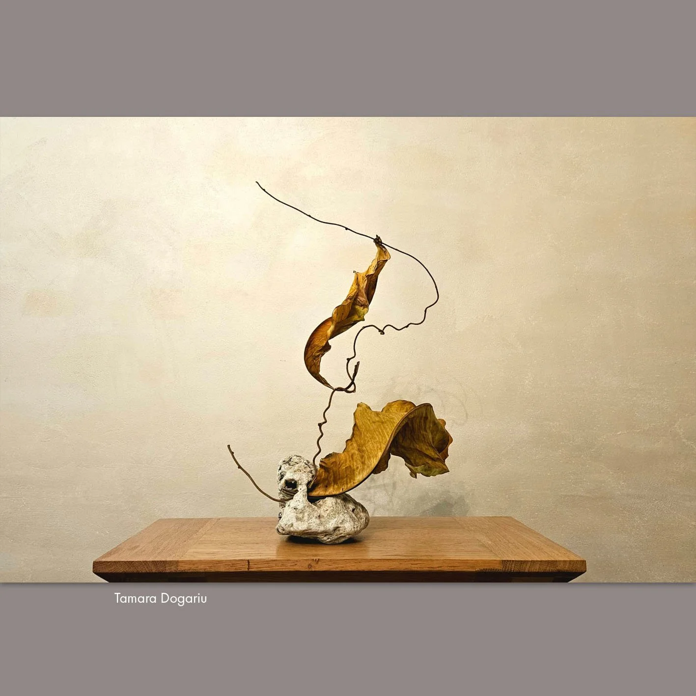 Tamara Dogariu 2.jpg