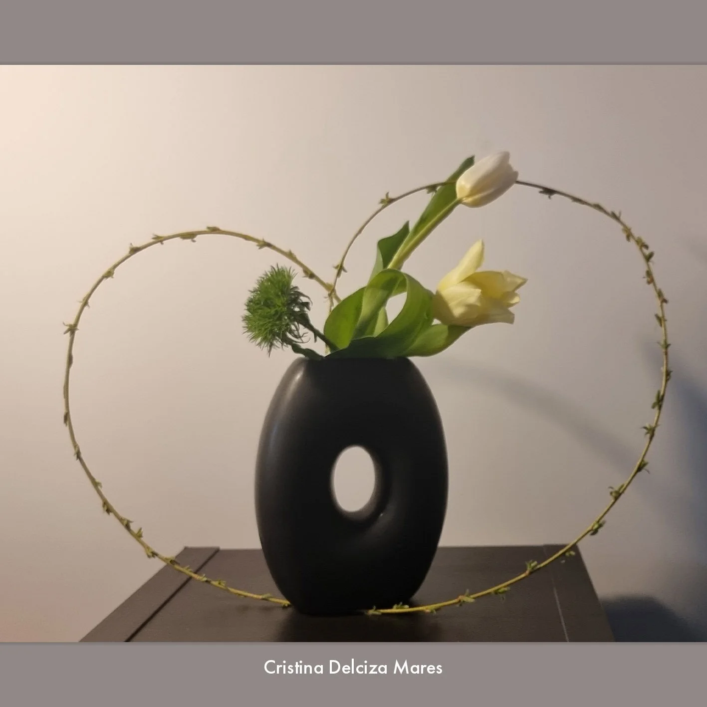 Cristina Delciza Mares 1.jpg