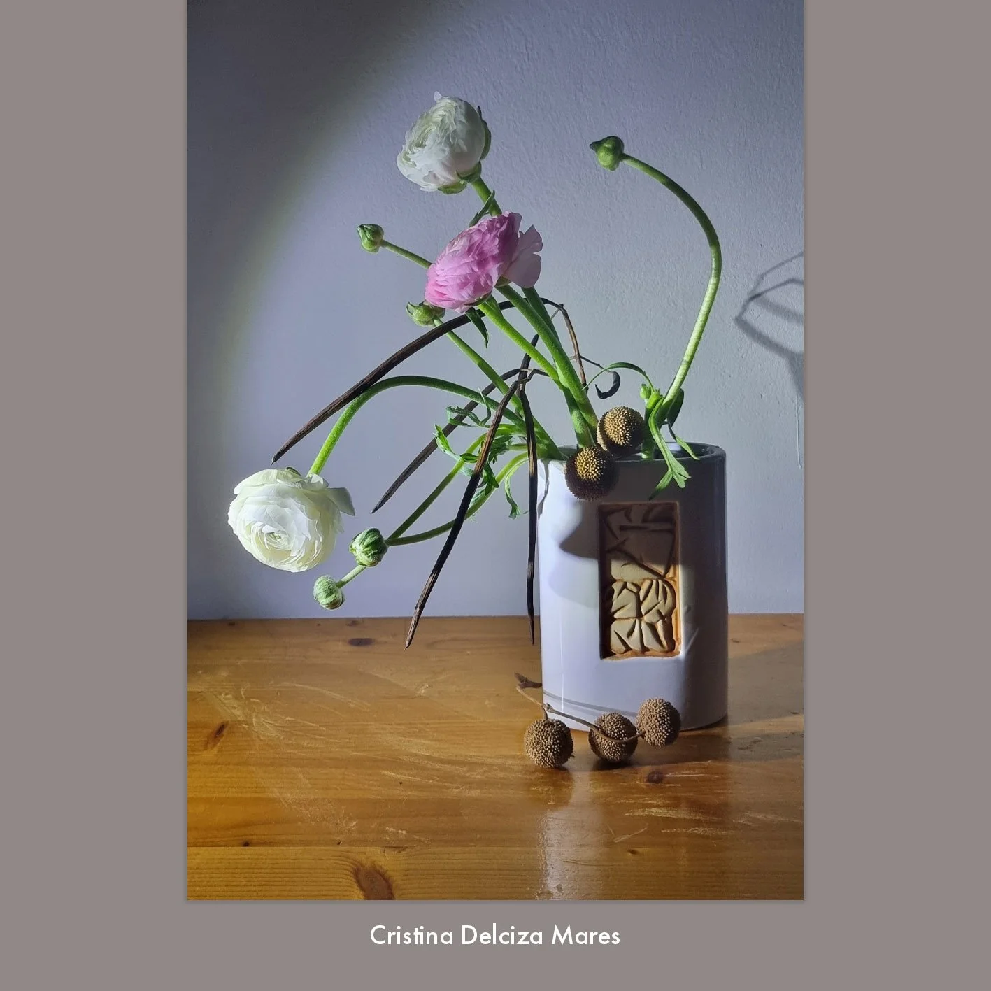 Cristina Delciza Mares 2.jpg