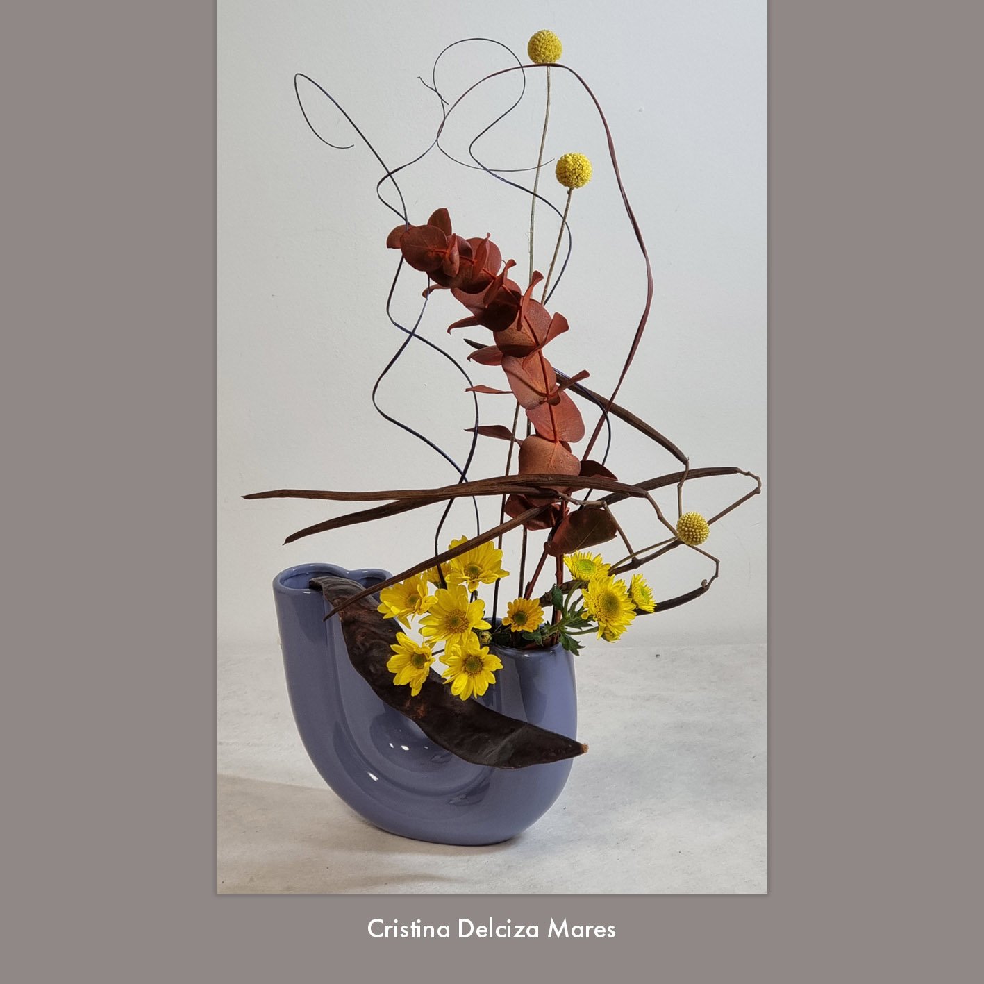 Cristina Delciza Mares 3.jpg