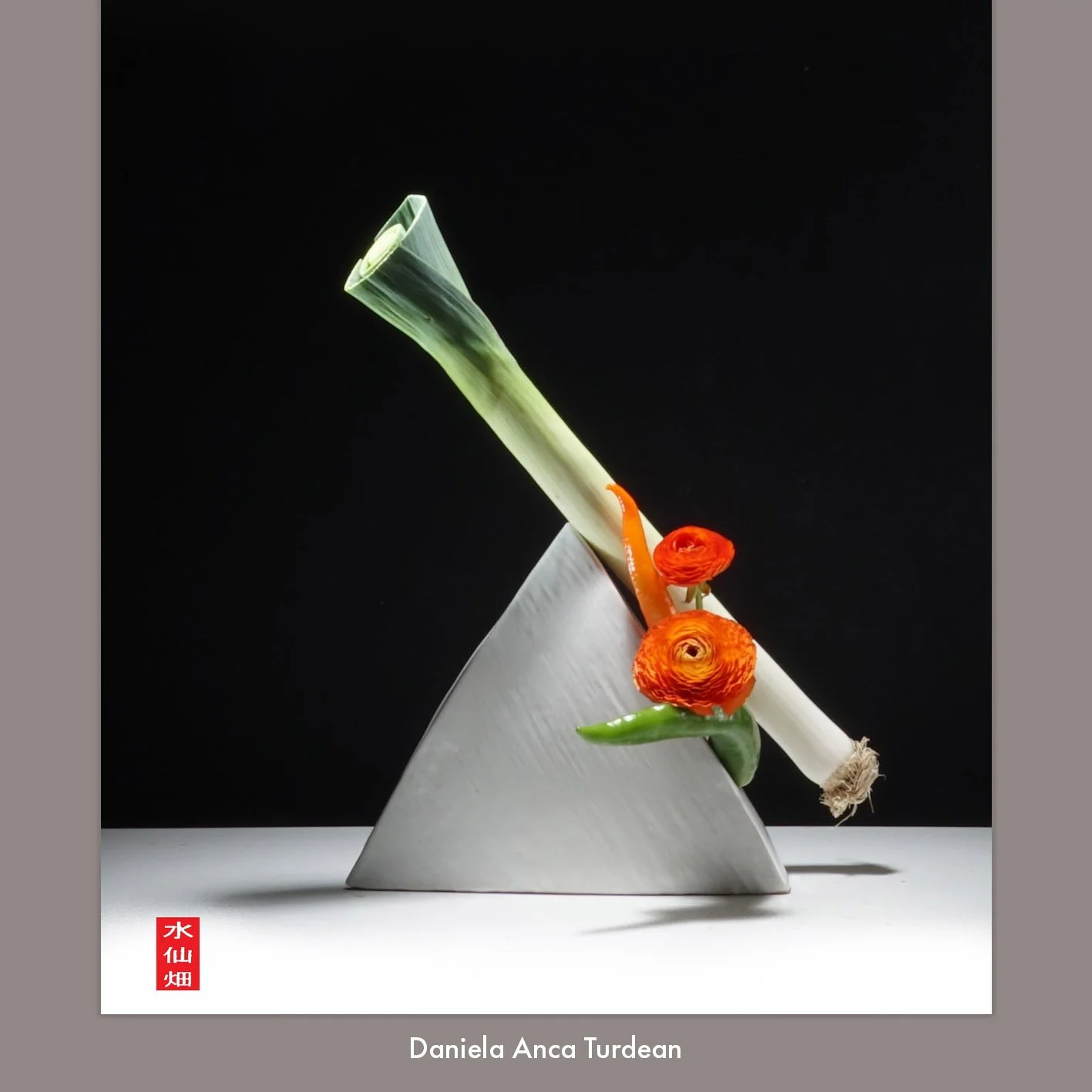 Daniela Anka Turdean 2.jpg