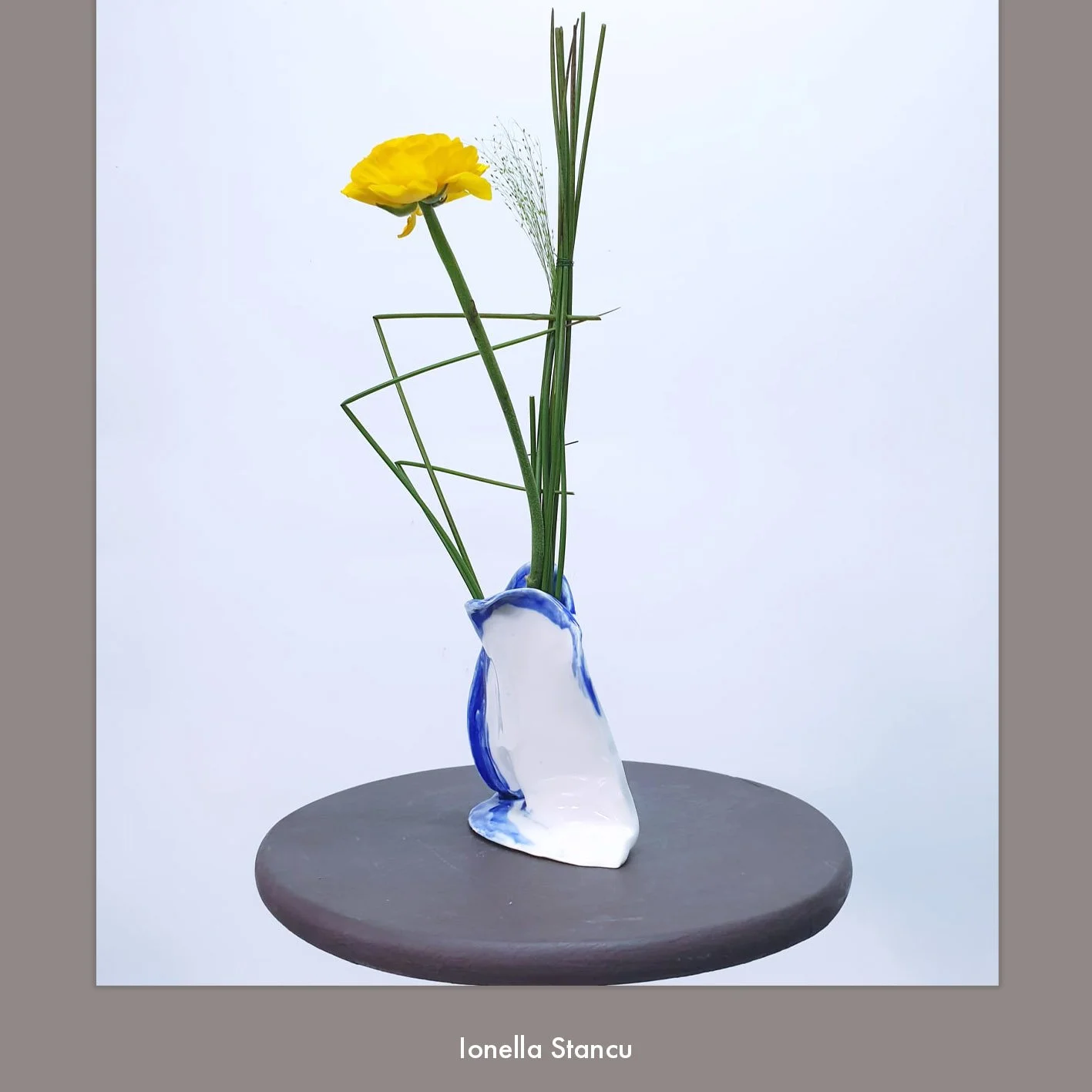 Ionella Stancu 1.jpg