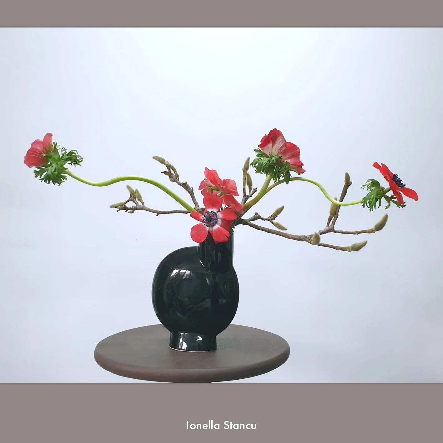 Ionella Stancu 2.jpg