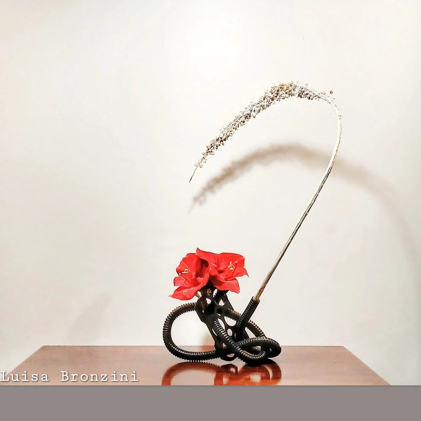 Luisa Bronzini 1.jpg