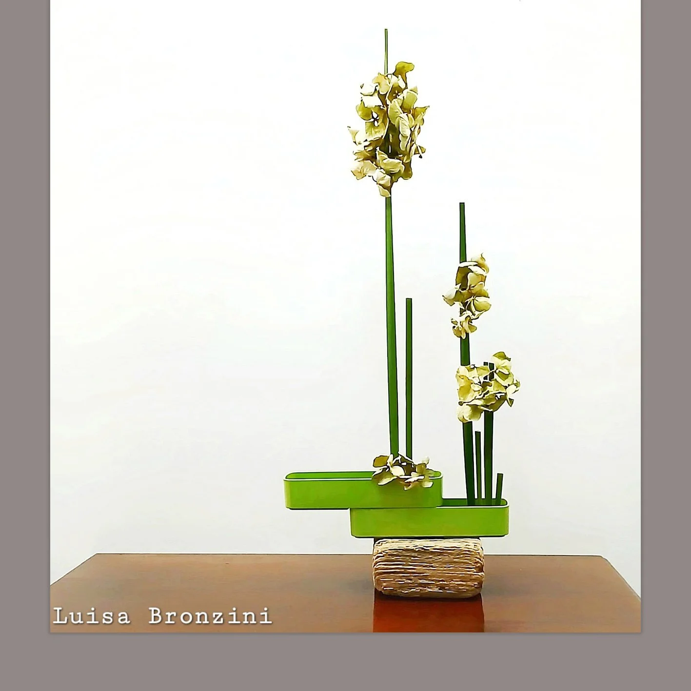 Luisa Bronzini 2.jpg