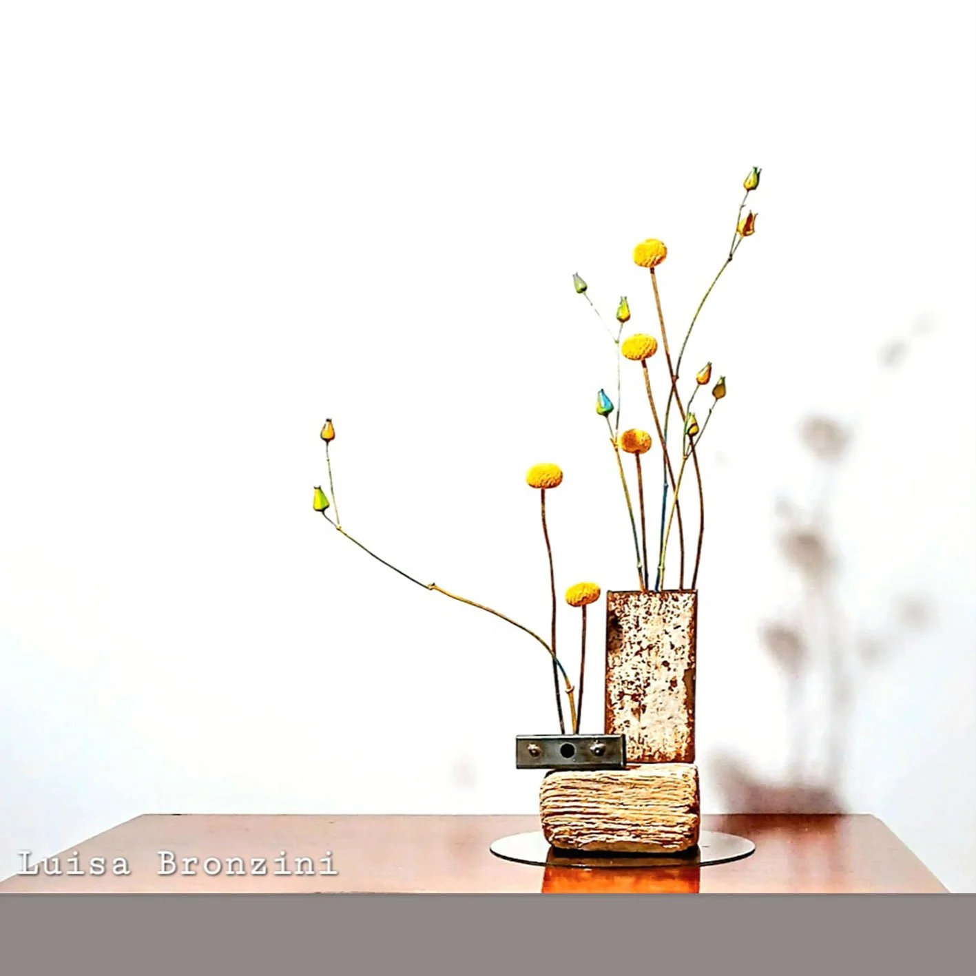 Luisa Bronzini 3.jpg