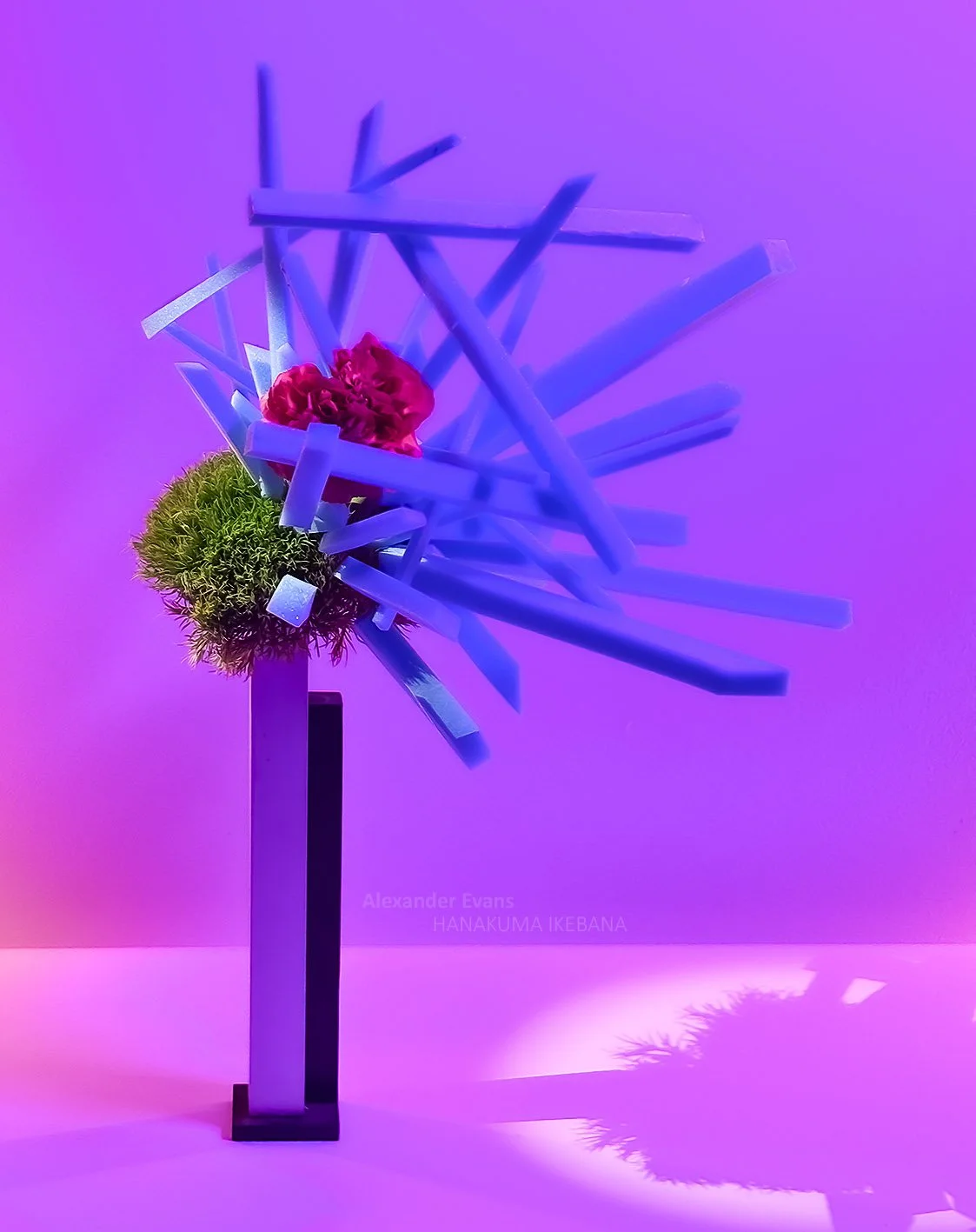 Green trick with blue foam and carnation.jpg