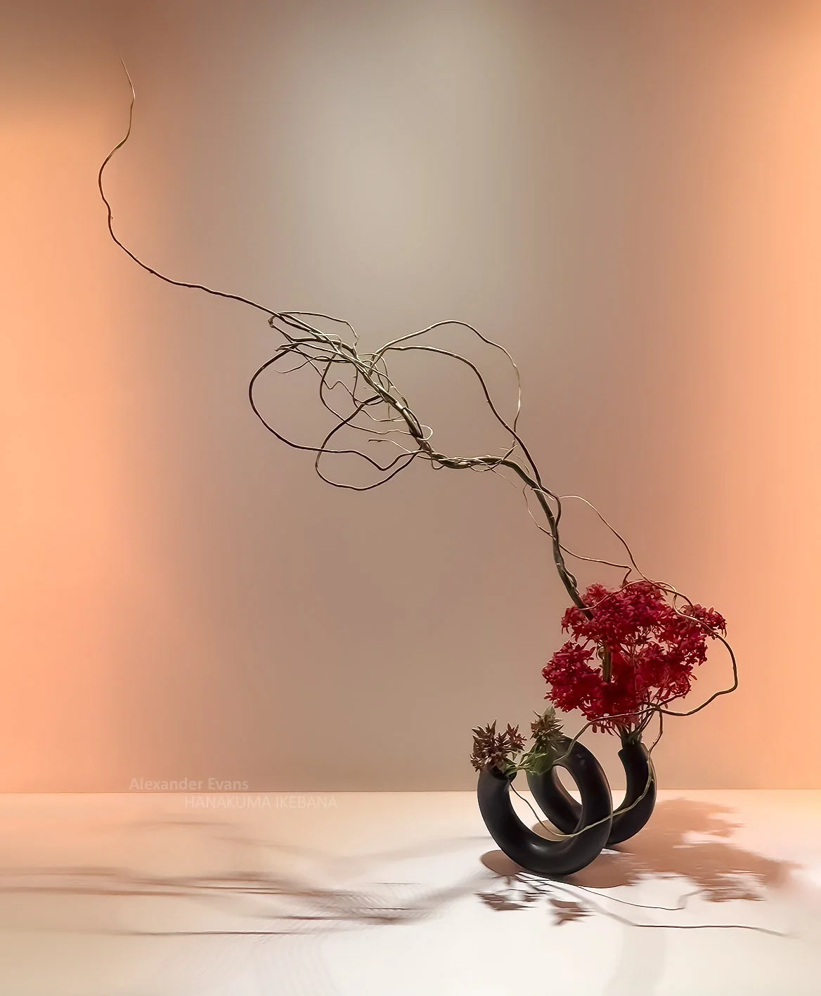 Line with xmas bush.jpg