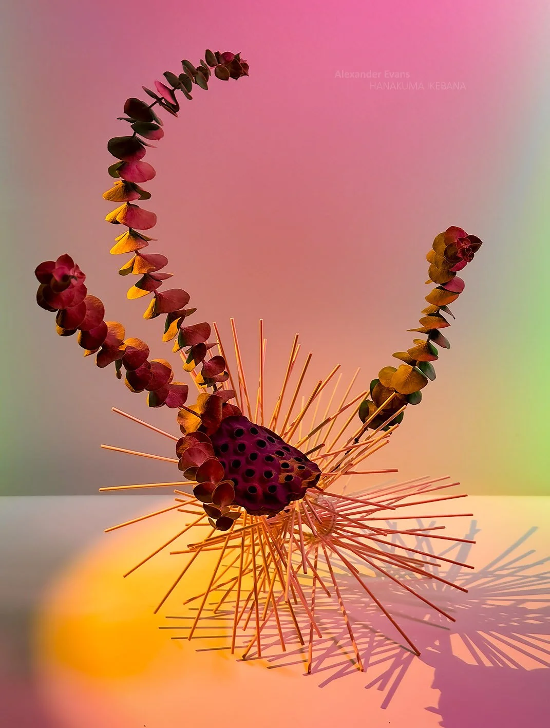 sushi mat with dry materials.jpg