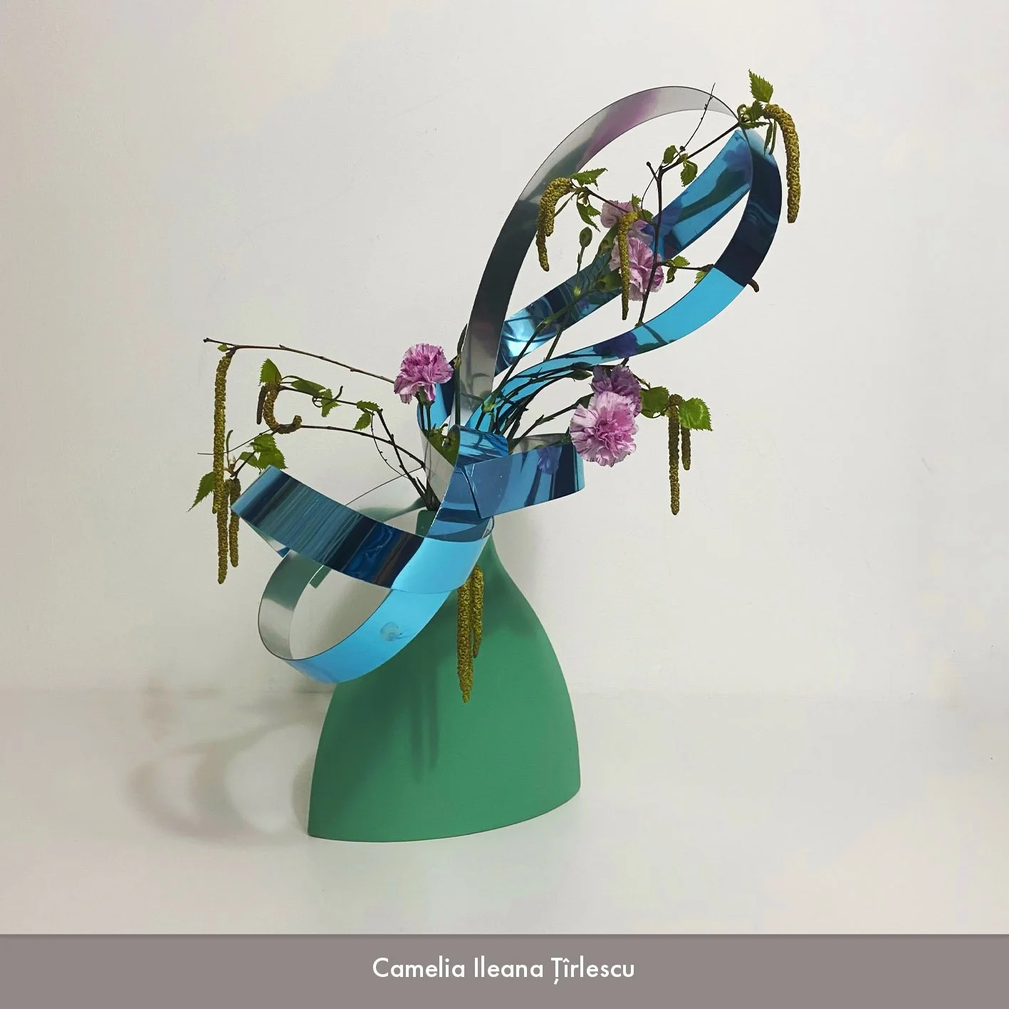 Camelia Tirlescu.jpg