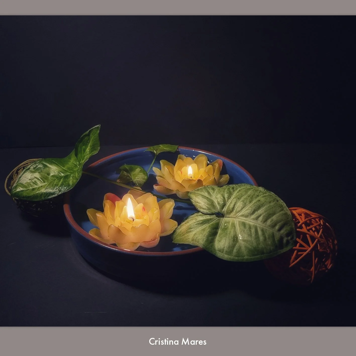 Cristina Mares 1.jpg