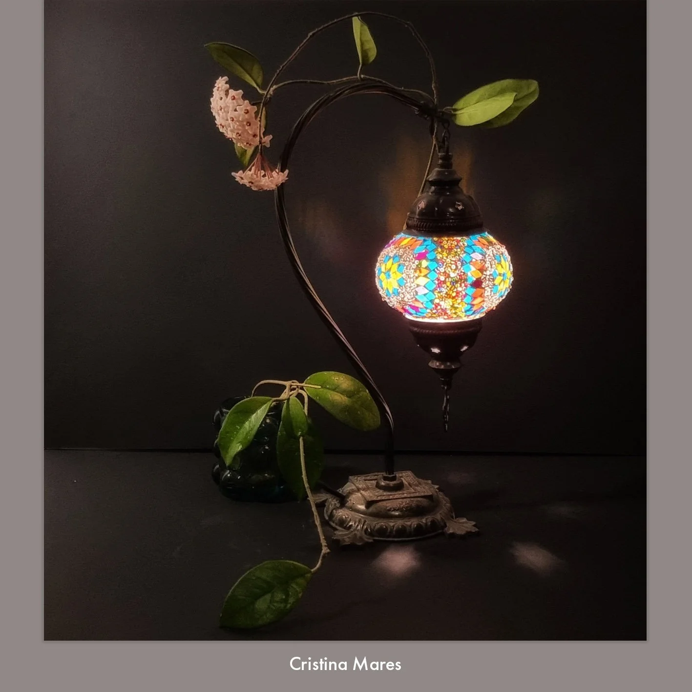 Cristina Mares 3.jpg