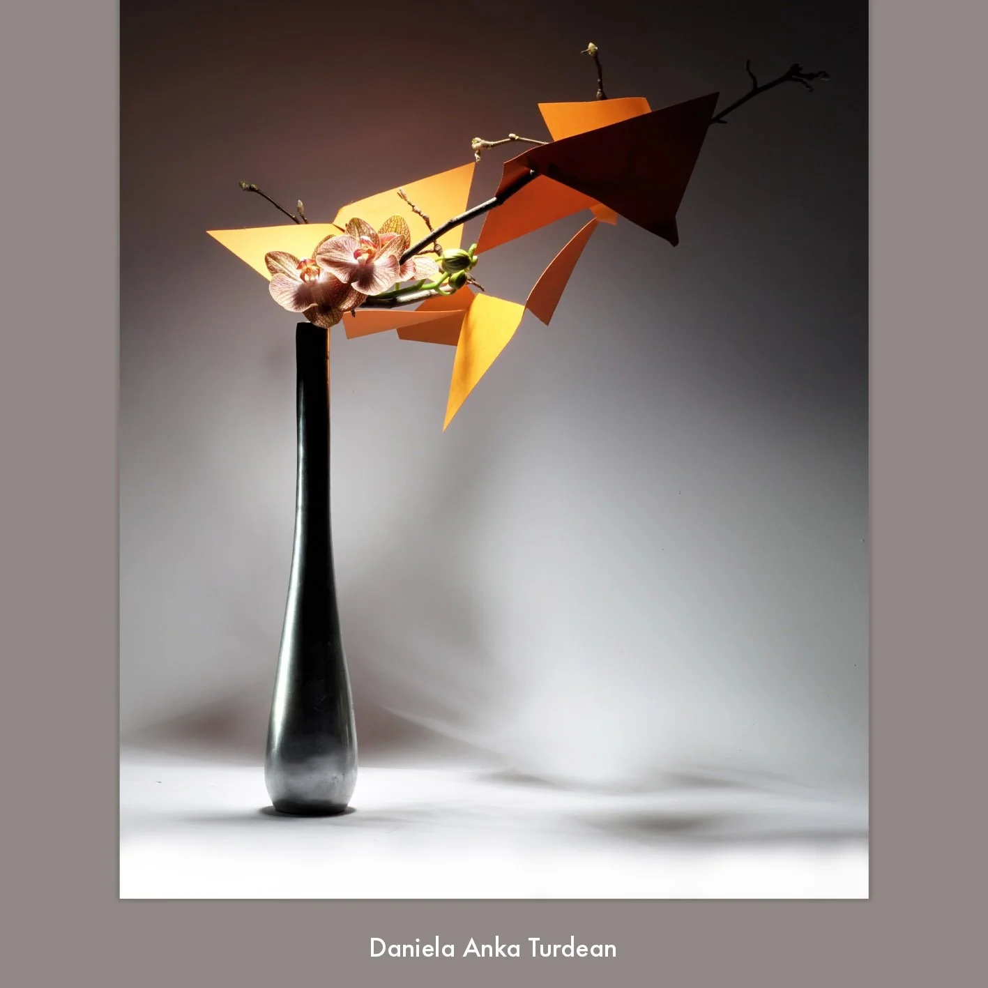 Daniela Turdean 3.jpg