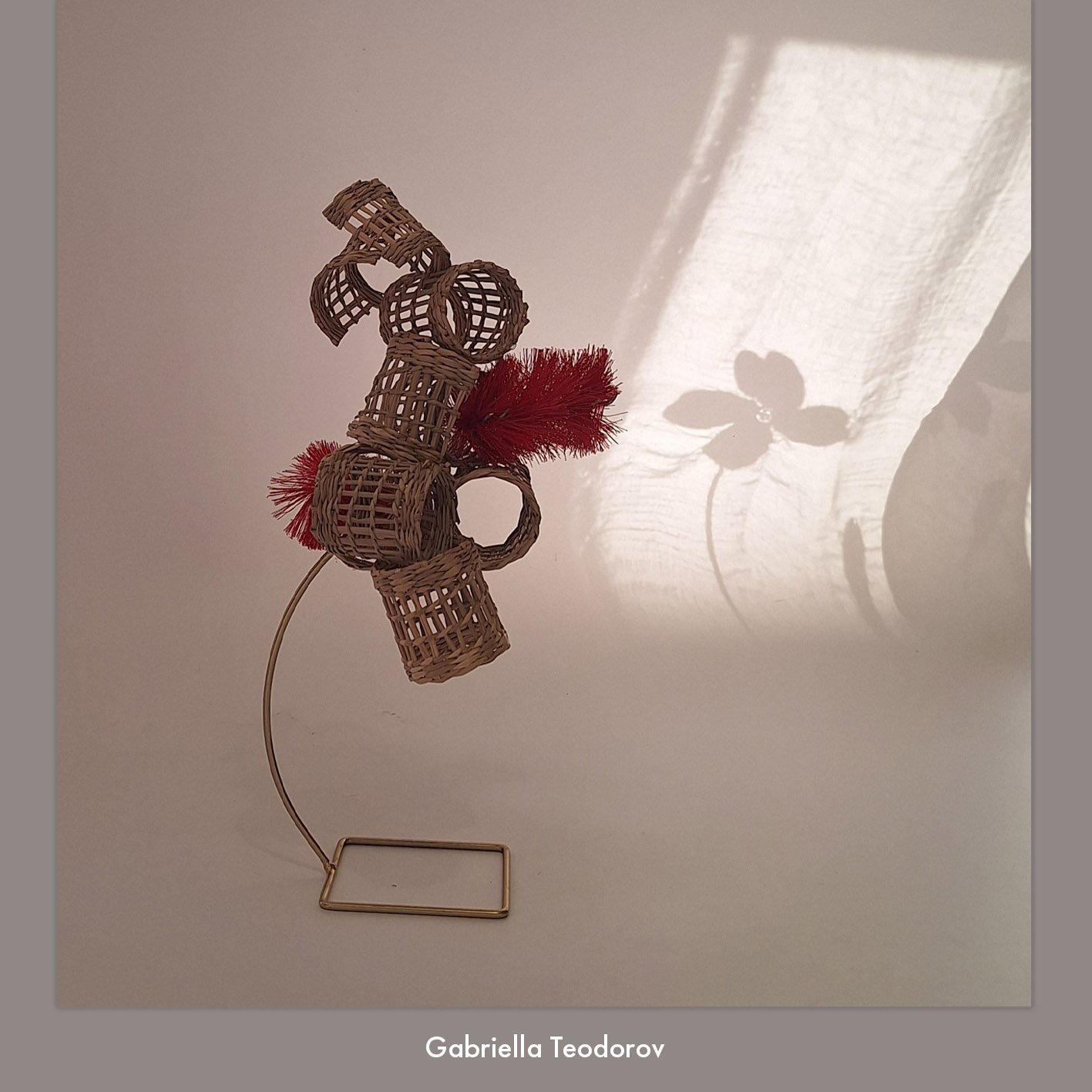 Gabriela Teodorov.jpg