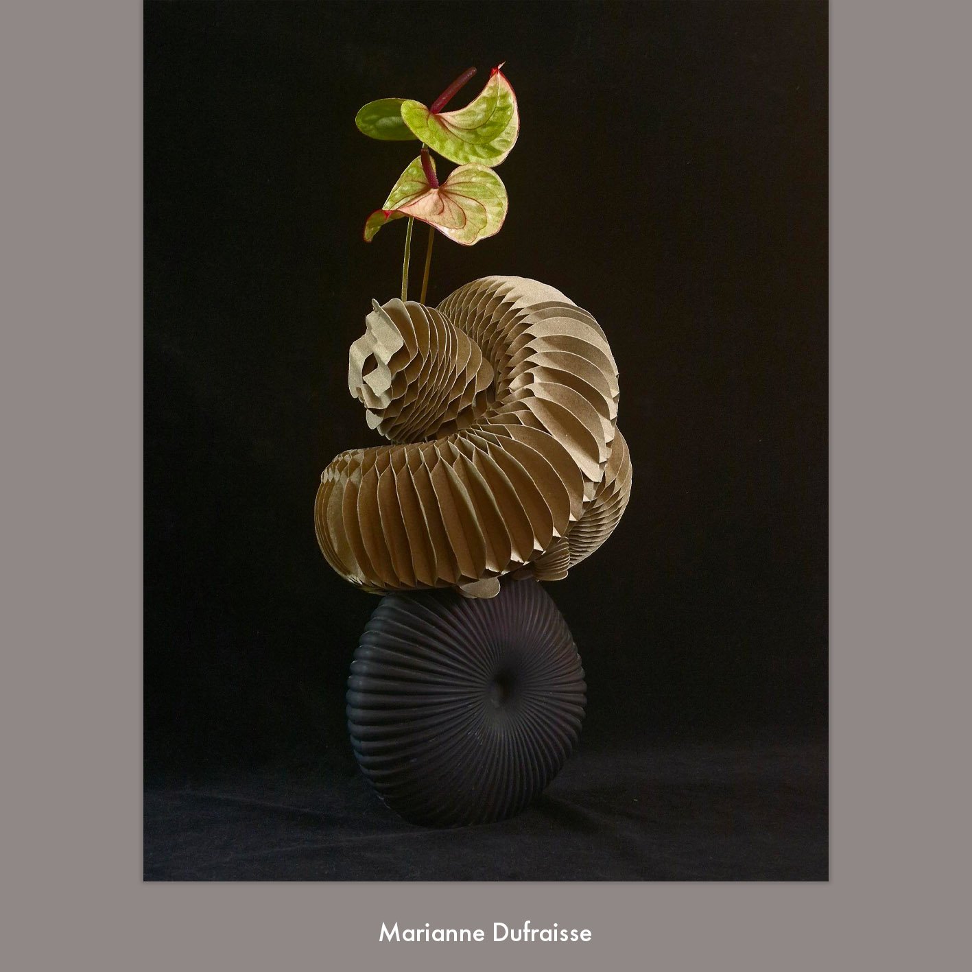 Marianne Dufraisse.jpg