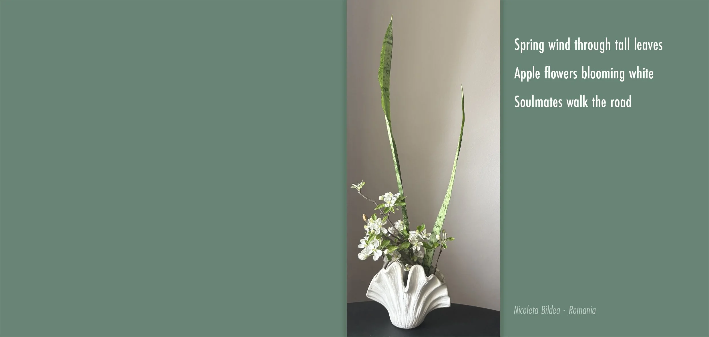 Nicoleta Bildea.jpg