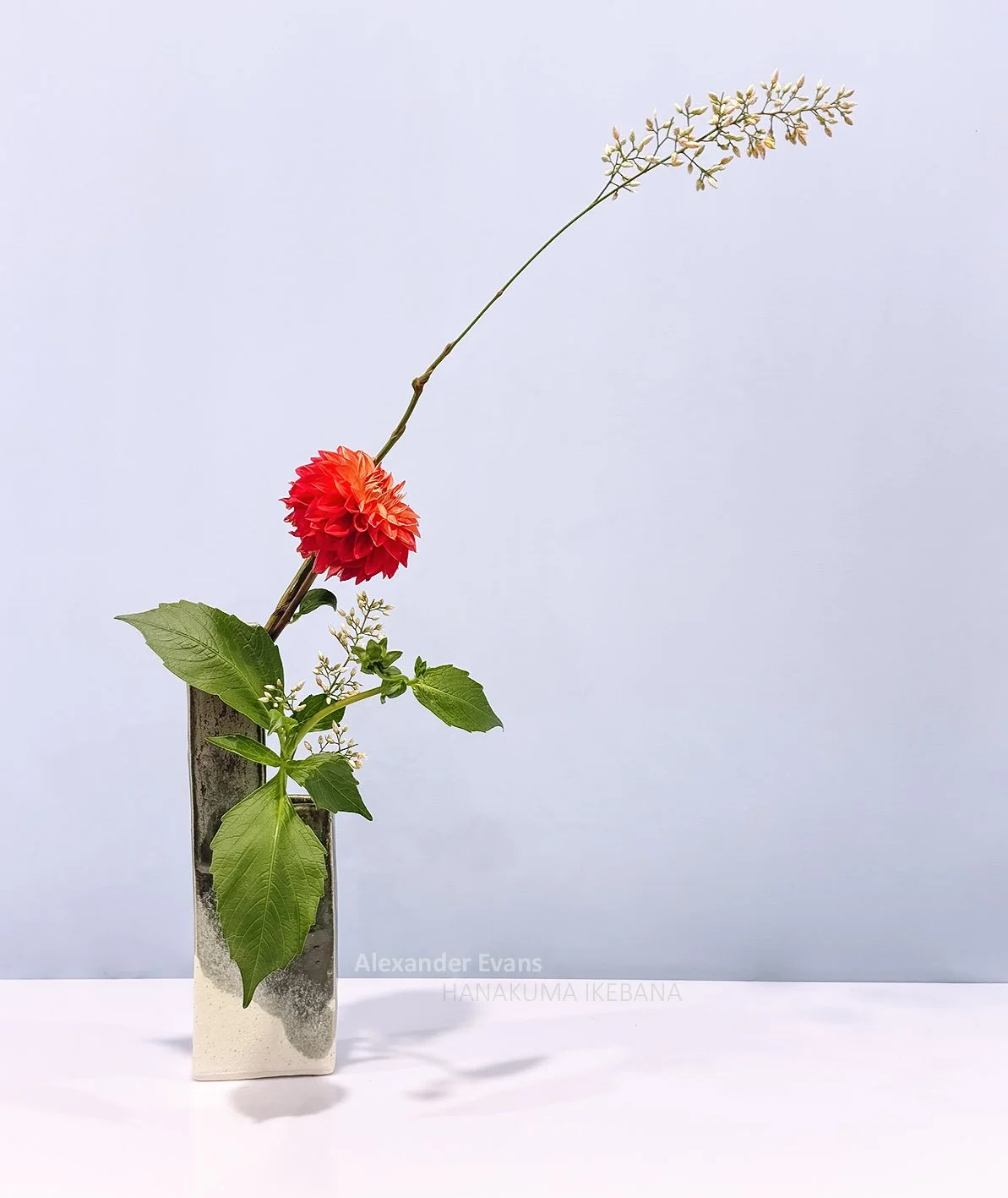 nandina with dahlia.jpg