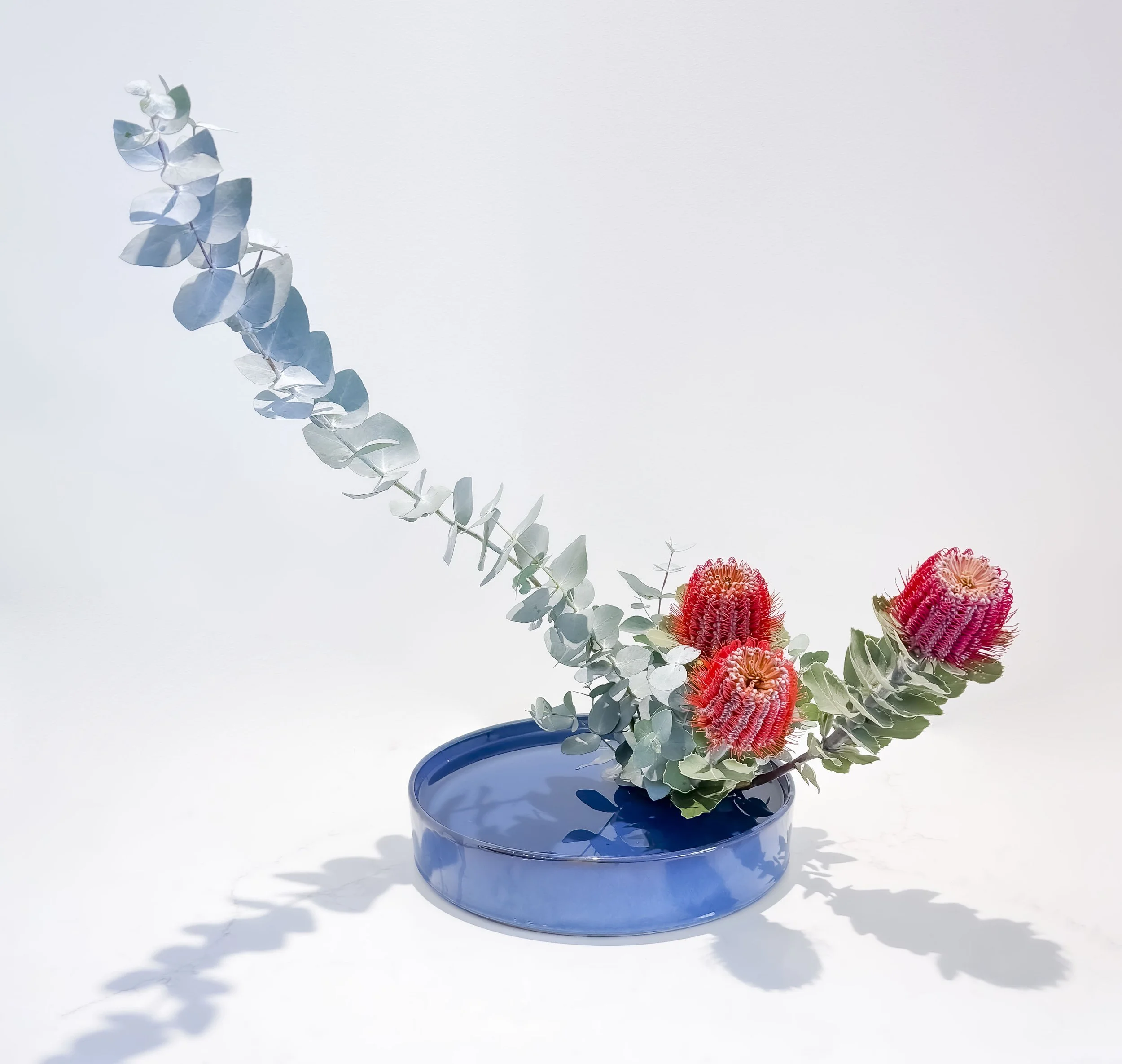 A Evans moribana - Var 4 Slanting Style.jpg