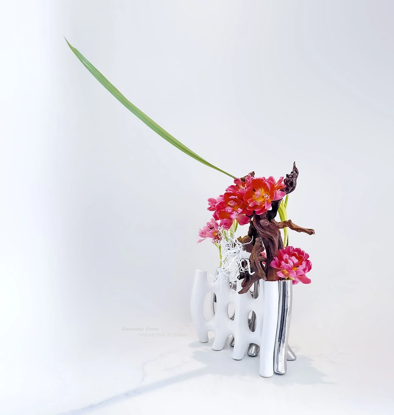 Tulips driftwood and gymea in double vases.jpg