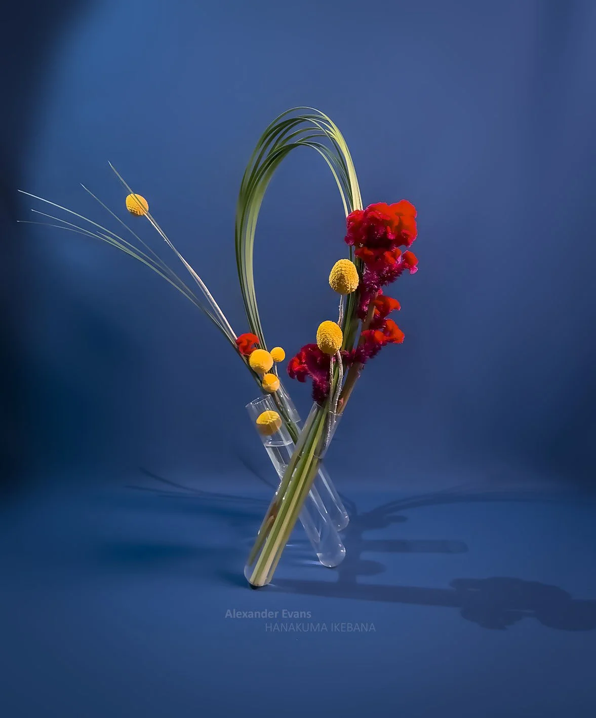 Celosia and billy buttons in vials.jpg