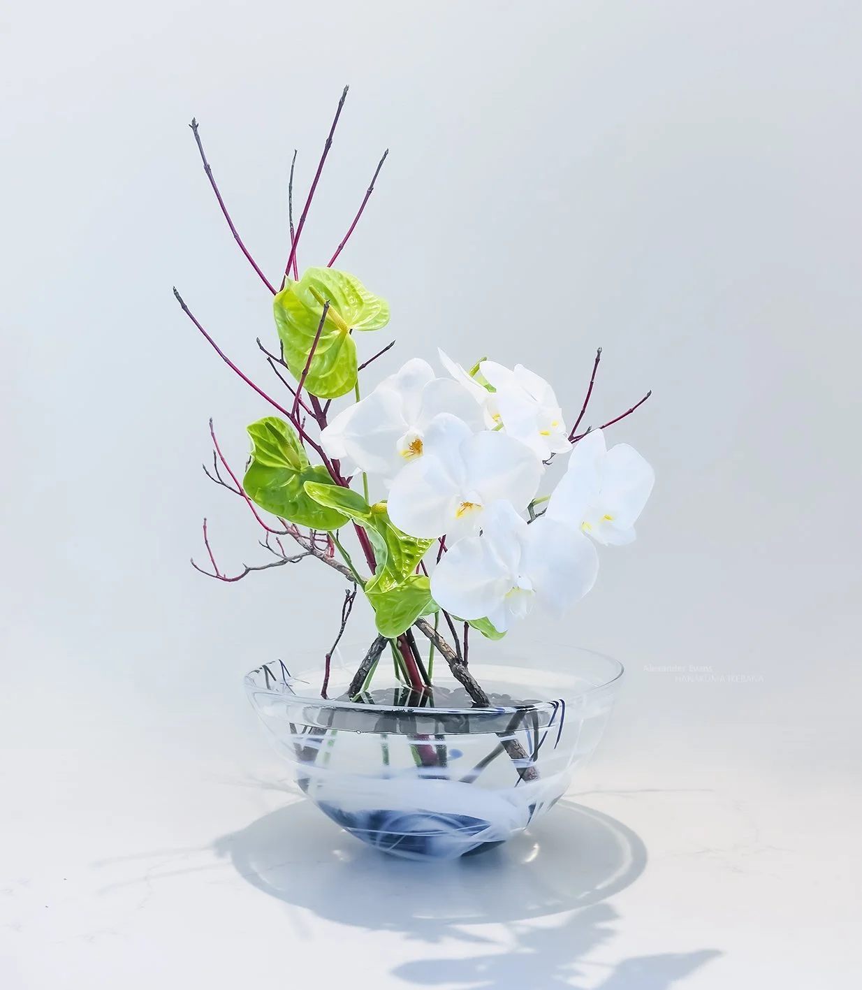orchids and anthurium in kosta boda bowl.jpg