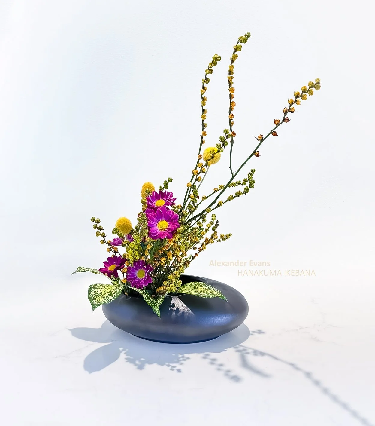 seed head maze-zashi.jpg