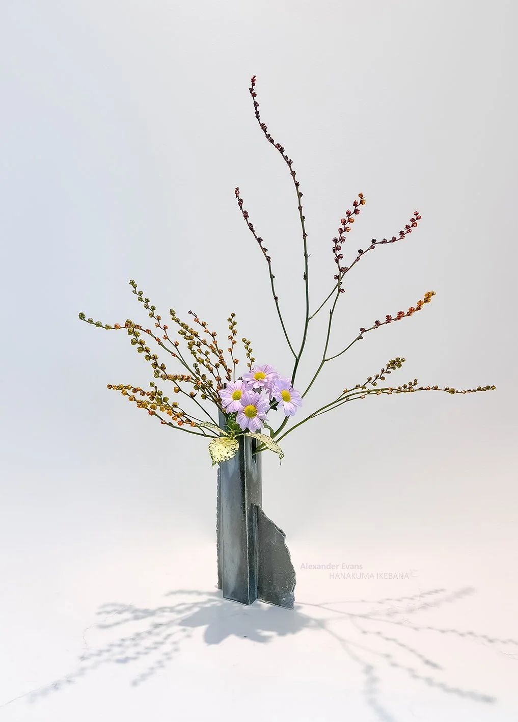 seed heads and chrysanthemum in tower vase.jpg