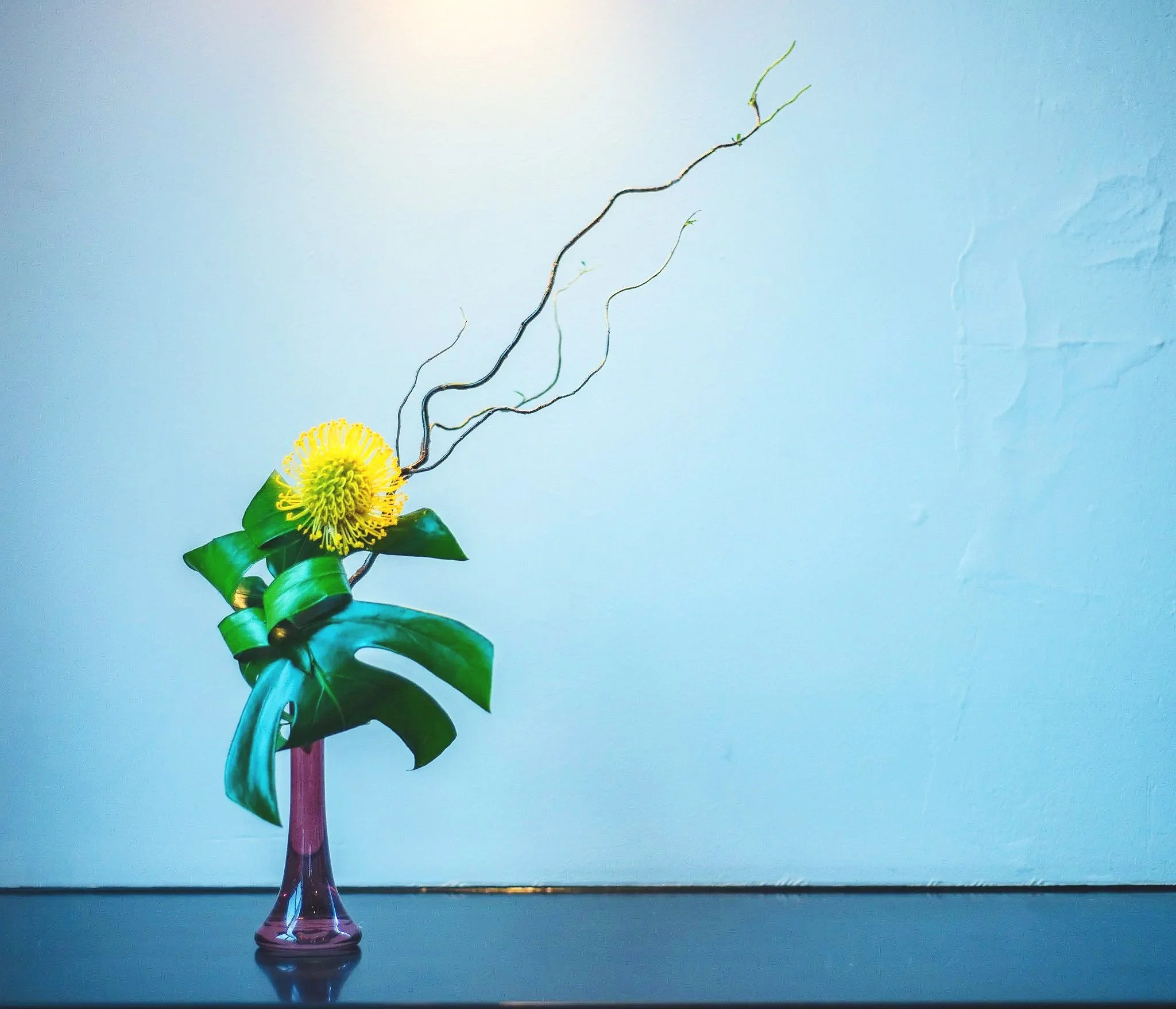 Embracing Friendship - A Successful Exhibition