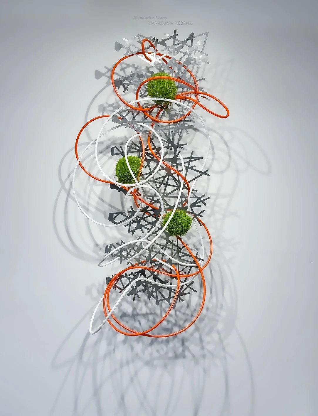 Building Materials with Green Trick.jpg