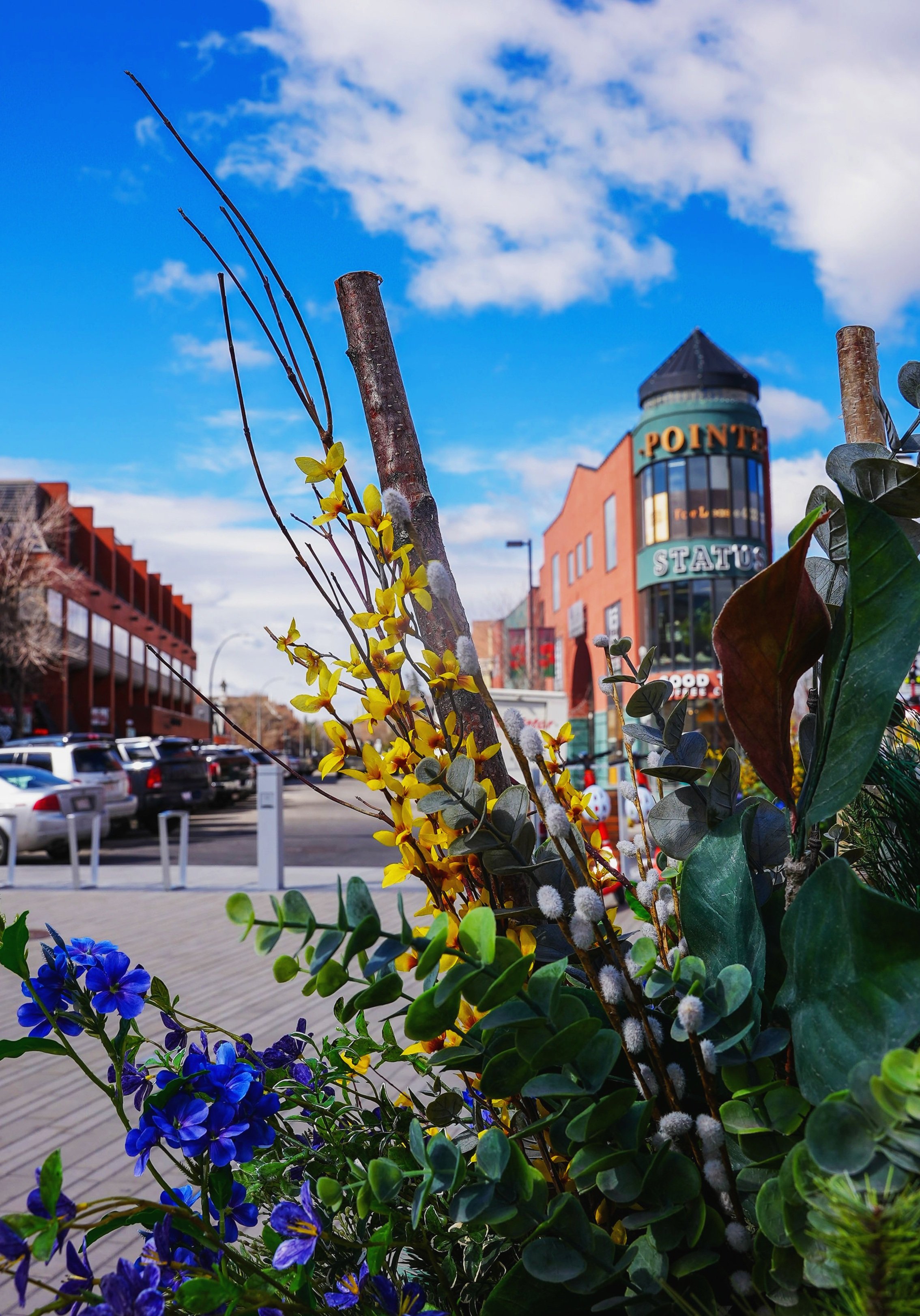 DSC01329_1+%281%29.jpg