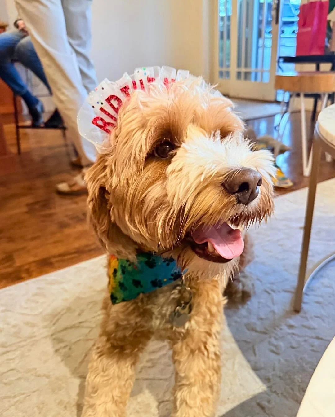 PUP CRAWL // At PARKER PR and PARKER Media, we are so excited for this year&rsquo;s Pup Crawl on Sunday, October 26 from 1:00 p.m to 4:00 p.m. at the Kensington Plaza along Kensington Road! We can&rsquo;t wait to capture all the adorable pooches in t