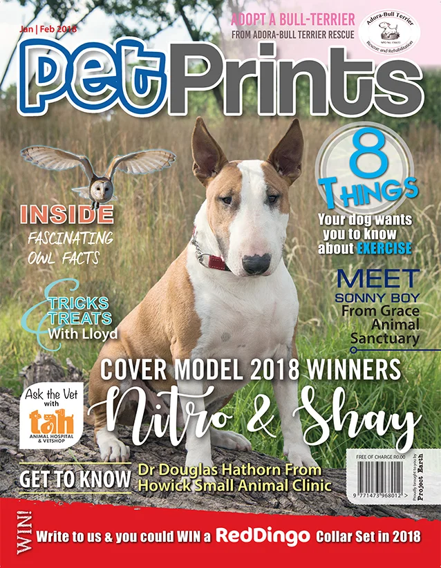 Pg01 pet prints cover _JAN_FEB_2017.jpg
