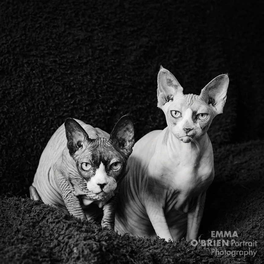 DSC_5173.jpg