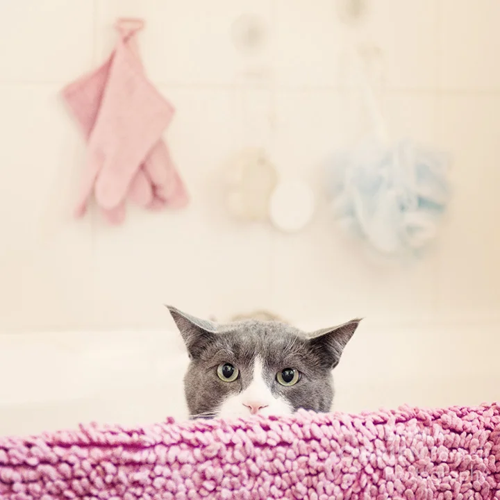 DSC_5803vint.jpg