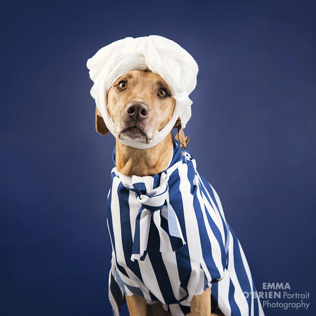6 hysterical fashion week looks doggy style